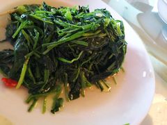 -上海棕榈滩海景酒店