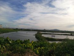 -大湾区中央湿地公园-十九涌
