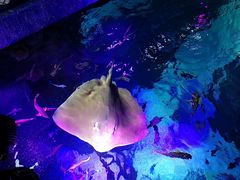 -沈阳海洋探索中心