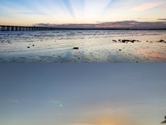 -宝安西湾红树林湿地公园