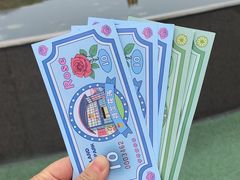 -荷兰花海