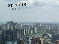 -Yan Ting宴庭中餐厅-长沙瑞吉酒店(运达店)