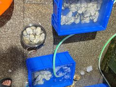 -濠轩阁特色生蚝火锅总店