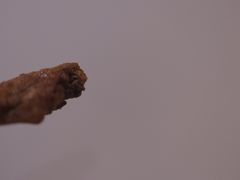-Kyochon1991校村(共和路店)