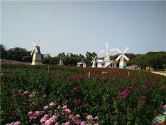 -松山湖南湖湾露营营地