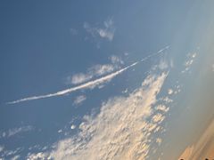 -九里河湿地公园