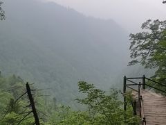 -凤凰山国家森林公园