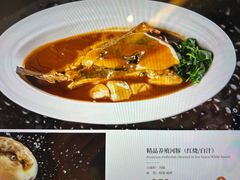 -新光酒家·河豚·海鲜·蟹料理(浦东店)