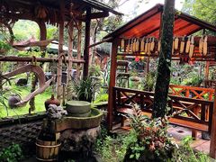 -青城甲(青城山店)