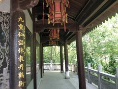 -上海佘山国家森林公园天马山园