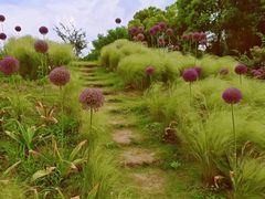 -嘉北郊野公园