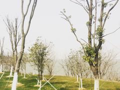 -艾溪湖湿地公园