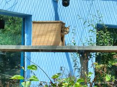 -青藏高原野生动物园