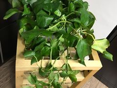 -中国电信(泰兴路店)