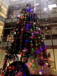 -沈阳市妇婴医院