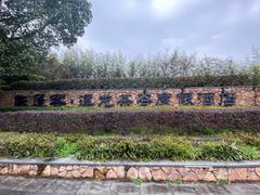 -帐篷客·溪龙茶谷度假酒店