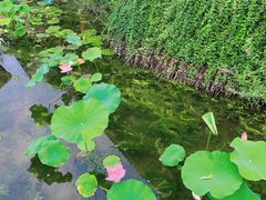 -青州古城