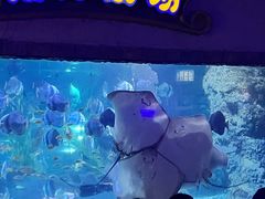 -南昌海洋公园