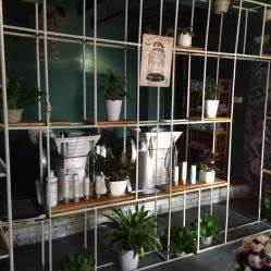 -HG美发设计沙龙