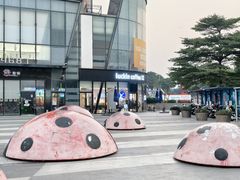 -万科城市广场(厚街店)