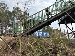 -绵阳盛世樱花悠乐谷