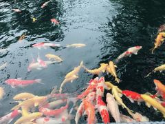 -湖鲜楼