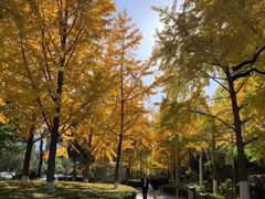 景点-什刹海-后海