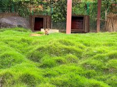 -泉州海丝野生动物世界