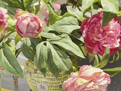 -宫事颐庭·老佛爷贵寿下午茶(颐和园店)