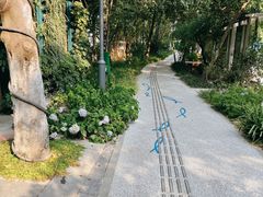 -成都市活水公园