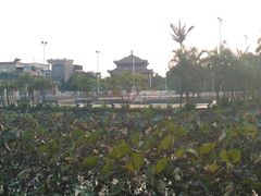 -碧江民乐公园