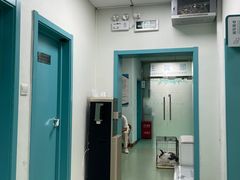 -北京观赏动物医院·24小时大型综合·猫专科·异宠专科