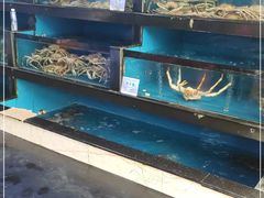 -马王堆海鲜水产市场