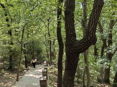 -虞山风景区