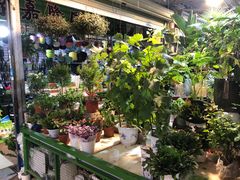 -朝来春花卉市场