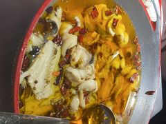 -雲蜀龙阁·金牌水煮鱼(方庄店)