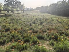 -汉长安城未央宫国家考古遗址公园