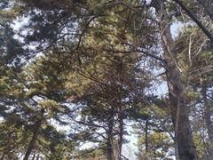 -沈阳辉山风景区