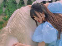 -梦娜斯庄园