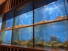 -珍宝海鲜JUMBO Seafood(尚嘉店)