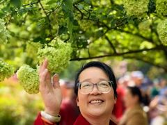 -铁山坪森林公园