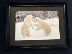 -罗红摄影艺术馆