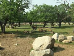 -西安秦岭野生动物园