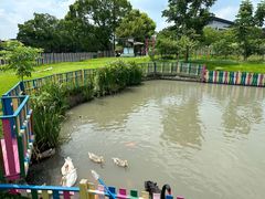 -上海佘山茂御臻品之选酒店(原佘山艾美酒店)
