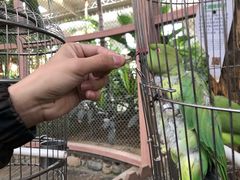 -南宫五洲植物乐园