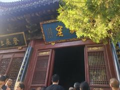 -洛阳白马寺
