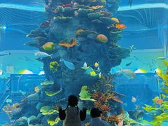 -福州罗源湾海洋世界旅游区