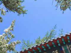 -崂山巨峰游览区