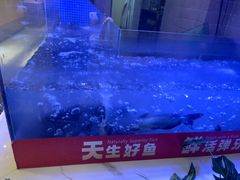 -三江源活鱼现烤(维多利摩尔城店)
