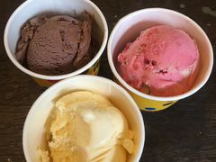 -莓园冰淇淋店